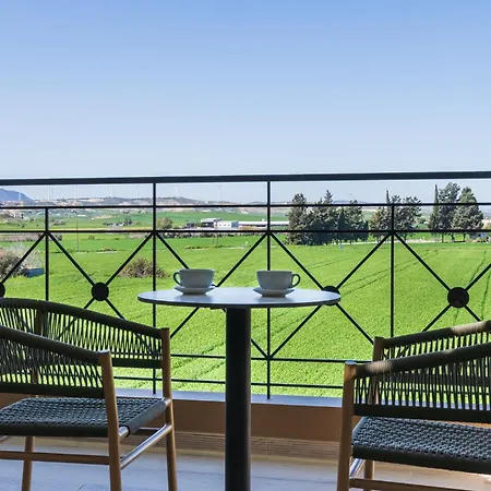 Penthouse With Amazing View In